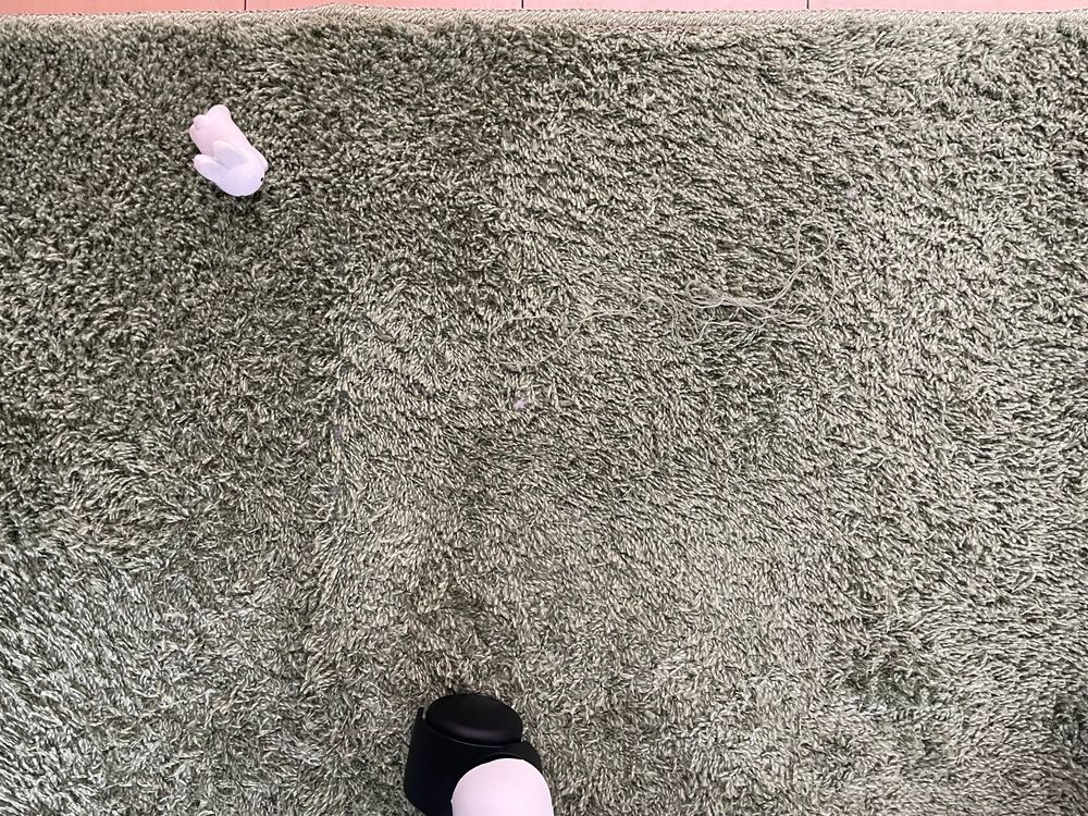 このお休みは人間とお勉強がんばるって決めたので眠たくなったら刺繍してましたが…
もう2度と見つけられないかと思いました。