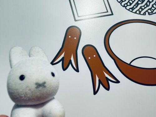じゃーん！ミフィのラーメンですよ！かわいいねー！今度一緒に食べましょうね、人間！