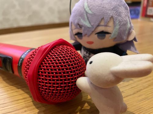 久々のカラオケに来ました！好きな寿司の曲が入っててうれしかったです！🎶