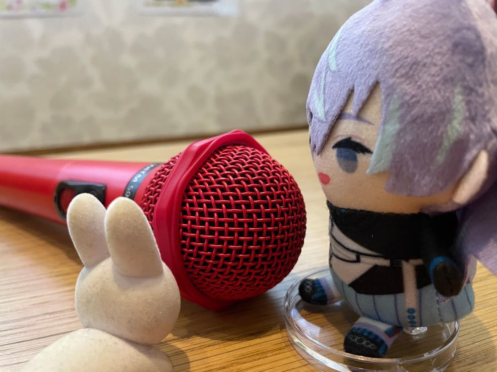 久々のカラオケに来ました！好きな寿司の曲が入っててうれしかったです！🎶