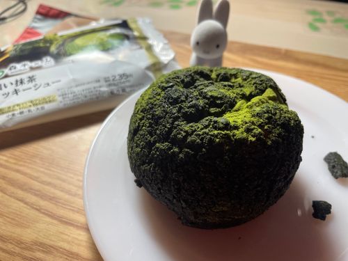 話題の苔むしたシュークリームを食べました！程よく苦くほろほろでとてもおいしかったです！本当に石に見えますね。