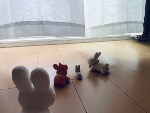 人間、今日はお仕事お休みです。
最近忙しくて元気がなかったみたいですが、少し楽になるといいね。