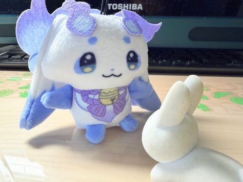 今日は人間が久々に会うお友達とお出かけです！ミフィたちも一緒にいきましょうね〜！この方とは初めてのお外です！