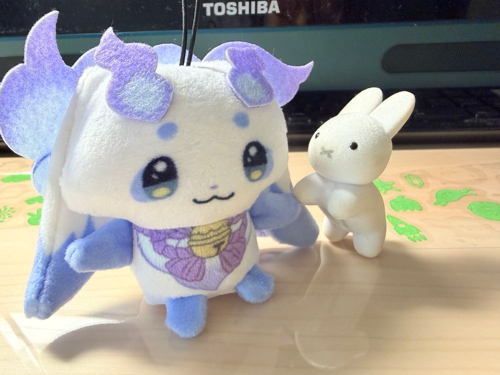 今日は人間が久々に会うお友達とお出かけです！ミフィたちも一緒にいきましょうね〜！この方とは初めてのお外です！