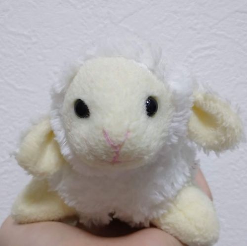 もちぬしと赤ちゃんの頃から一緒です。昔はメーメー鳴けましたが今は鳴けません。
おうち待機組なのでSNSは別の子に任せるつもりです。