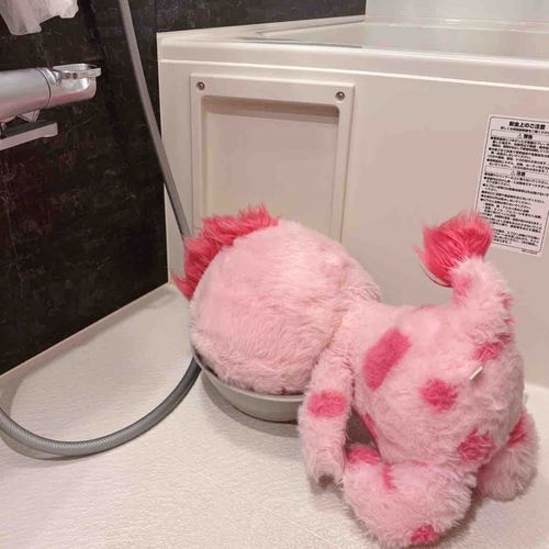 みんなはちゃんとお風呂入ってる？
お風呂キャンセル界隈はだめだよ😡
もぴぞうはお風呂がだいすきだよ🩷
