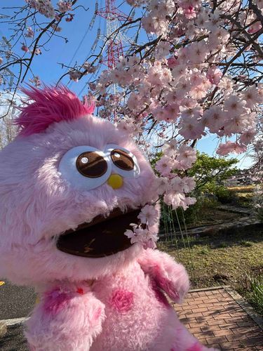 春の思い出だよ🌸