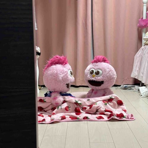 おともだちのもっぷちゃんがお泊まりに来てくれたよ🩷