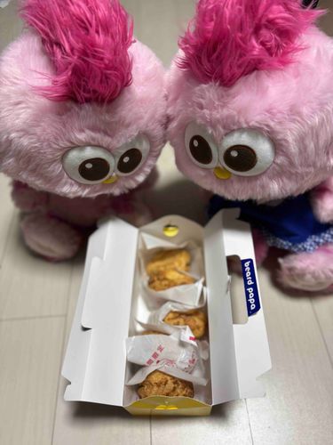 ももぞうがシュークリームを買ってくれたよ❕