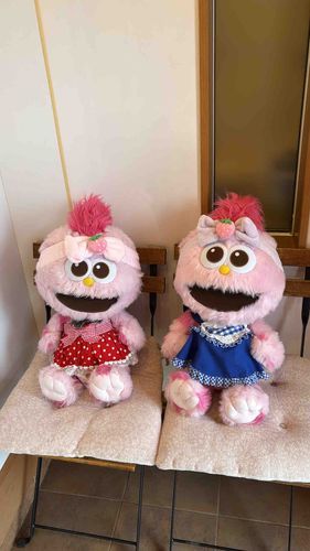 もぴぞうの行きつけのマカロン屋さんにもっぷちゃんといったよ🍓