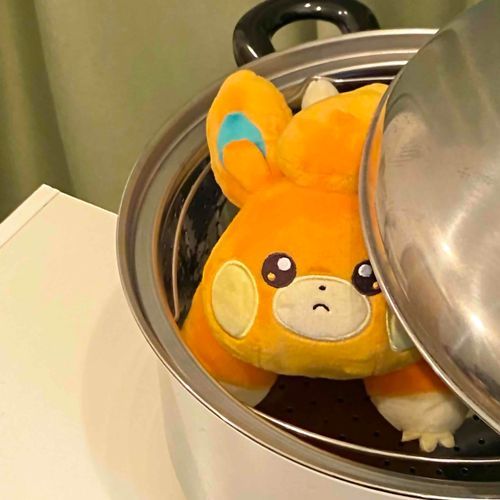 そんな所入らない！！めっ！