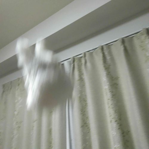 この子は誰でしょうか。えらいはしゃいどりますね