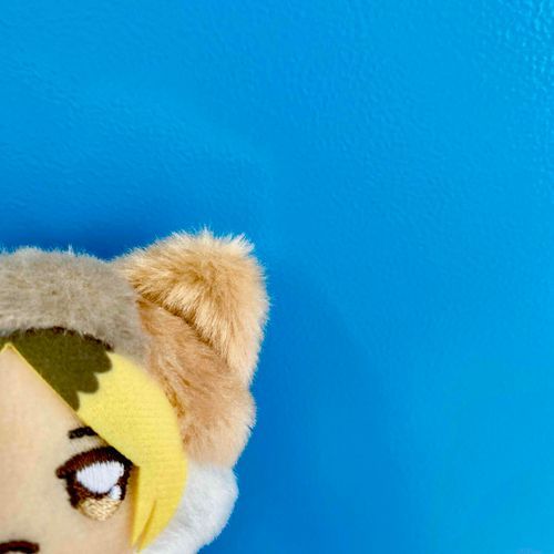 おや、、、？君は…