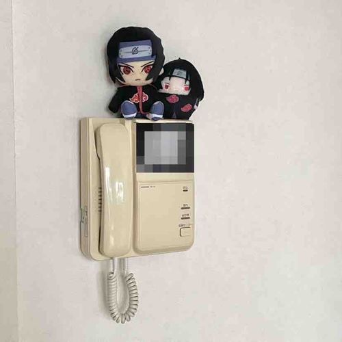ななな何してんの！？？そんな目でこっちを見るな！！！