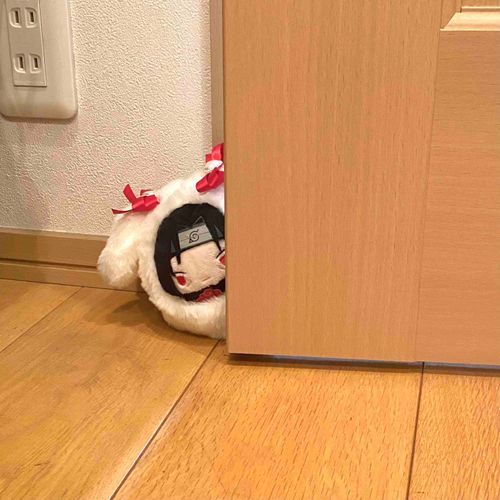 ﾝﾌwwwあっ違ごめんって兄さん！違う違う！！似合ってるよ！？wかわいいねwww