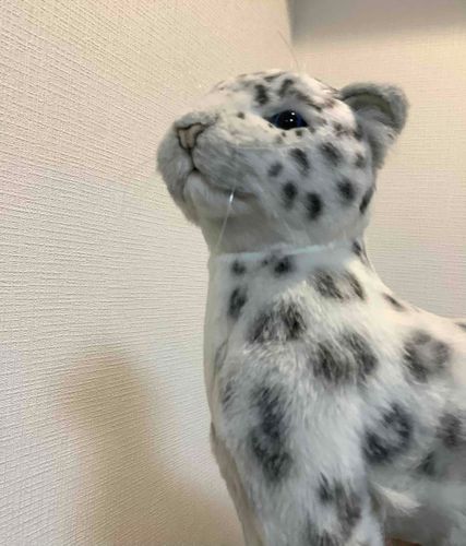 キリっ