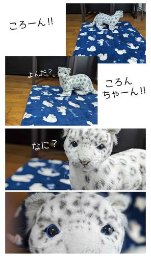 よんだ？ころんのこと、よんだ？
