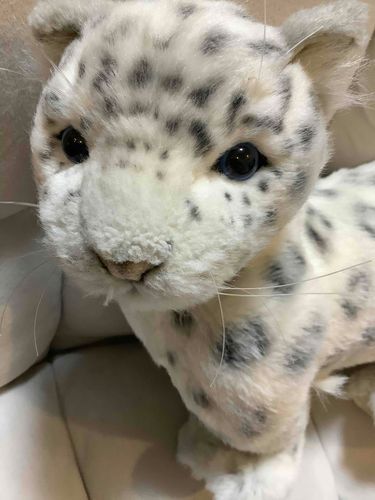 れんきゅう さいしゅうび…なの？ころん しんじない‼️