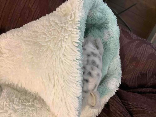 げつようび つかれた…