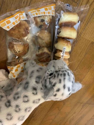 あしたのあさ これたべる！