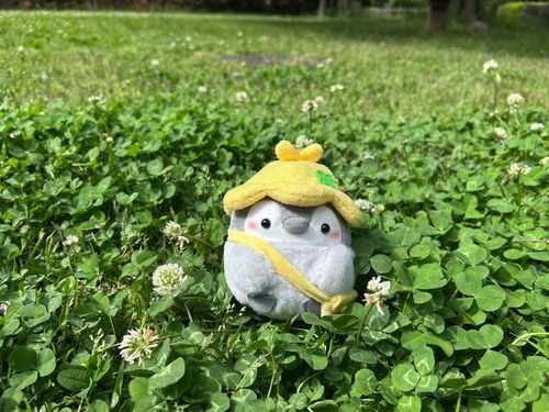 のんびり
いつだってはなまる🌼
