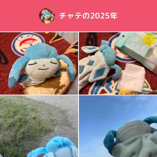 何回やっても蕎麦の写真が入らへん……。わての2025はブランケットと地面と空だけやったんか！？　まあええか！　来年もよろしゅう！