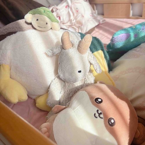 きょはぽかぽかやぎからみんなでひなたぼっこしてたやぎよ〜🐐☀️