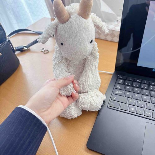 みんなひさしぶりやぎ🐐❕
さいきんはもちぬしさんがしゅうかつをはじめてとてもたいへんそうやぎ🐐💧
せつめいかいとかはオンラインやぎからやぎろんがおててつないでおうえんしてるやぎ🐐❕
はやくおしごときまるといいやぎね🐐🙂‍↕️
