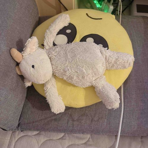 ひさしぶりやぎ〜🐐
さいきんはもちぬしさんがだいがくとしゅうかつでいそがしくてなかなかとうこうできてないやぎ🐐💧
これはもちぬしさんのまくらにされてぺちゃんこになったやぎろんやぎ〜🐐🌀