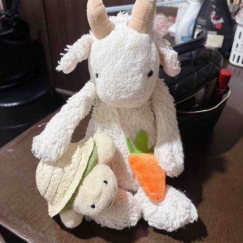 きょうはもちぬしさんのバイトがおわったあとそのままおおさかいくやぎからついてきたやぎ🐐❕
もちぬしさんのおともだちにこんにちはするやぎよ～🐐🎶