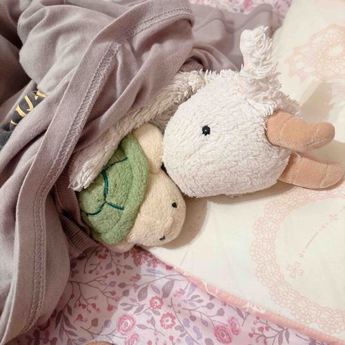 さいきんむちまろといっしょにねてるやぎ〜🐐🐢
あついからおふとんじゃなくてもちぬしさんのパジャマかけてねてるやぎ🐐❕