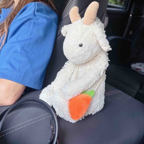 みんなこんにちはやぎ〜🐐❕
まえもちぬしさんとままさんとおでかけしたやぎよ🐐🚗
ままさんがあたらしいくるまかってからやぎろんのとくとうせきができたやぎ🐐❕
かっこいいやぎね〜🐐