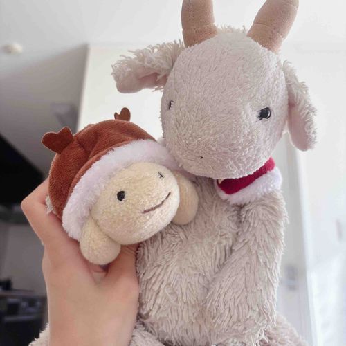 みんなひさしぶりやぎ🐐❕
きょうはクリスマスやぎね🐐🎄
むちまろトナカイとやぎろんサンタになったやぎ🐐🎅🏻🦌
よるもちぬしさんのかぞくさんたちとクリスマスパーティするやぎよ🐐🎶
たのしみやぎ🐐🎂