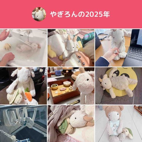 ことしもありがとうやぎよ🐐🎶
ふわもこであたらしいおともだちとなかよくなれてたのしい1ねんだったやぎ🐐❕
らいねんもよろしくやぎ〜🐐☀️