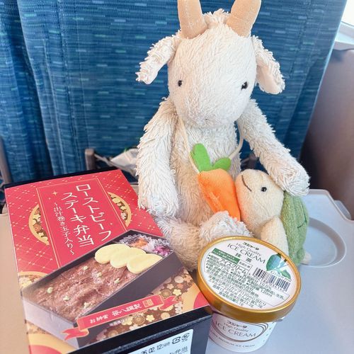 みんなひさしぶりやぎ🐐
このまえもちぬしさんとおともだちさんとなごやにいったやぎ🐐❕
たのしすぎてしんかんせんのしゃしんしかないやぎ🐐🚄
これからもマイペースにとうこうしていくやぎよ〜🐐🙂‍↕️