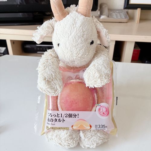 おっきい桃のタルト食べたやぎよ〜🐐🍑
美味しくて幸せやぎ〜🐐🥰
あ❕もちぬしさんがスマホ変えたやぎけど画質いつもより綺麗やぎかな〜🐐❔