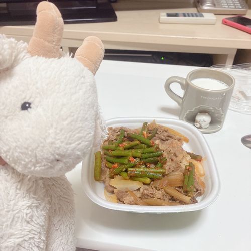 今日のご飯はすき家のにんにくの芽牛丼やぎ🐐❕
これ夏限定やぎけどやぎろん家は全員だいすきやぎからトッピングだけ追加で買って冷凍してるやぎ🐐😹
売ってない時は解凍して普通の牛丼に乗せるだけでいつも楽しめるやぎよ〜🐐🎶
これとーってもおいしいやぎからみんなにも食べてもらいたいやぎ🐐🤭