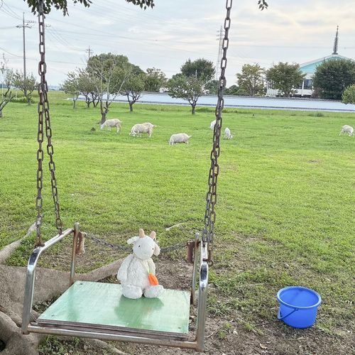 お出かけの場所はやぎ牧場だったやぎ🐐❕
木にぶら下げてあったブランコで写真撮ったやぎ🐐🤭
もちぬしさんずっとここ来たかったらしくてお友だちさんとここに来る為だけに名古屋旅行来たやぎよ🐐😹
楽しみすぎてネイルもやぎにしてたやぎ🐐❕😹(また載せるやぎね🐐💅🏻)
写真撮り忘れちゃったやぎけど名古屋の美味しいご飯も沢山食べれて幸せだったやぎな〜🐐💭