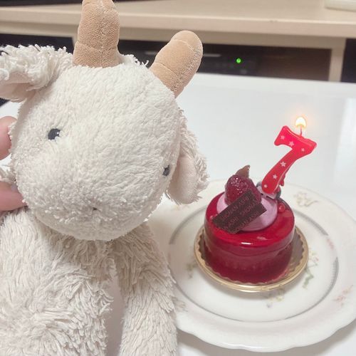 今日でやぎろん7歳になったやぎ🐐😽🎶
久々にケーキ食べたやぎけど美味しいやぎね〜🐐🎂
毎日食べたいやぎ🐐🤭