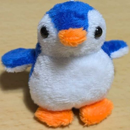 小さくて青いペンギンの女の子です