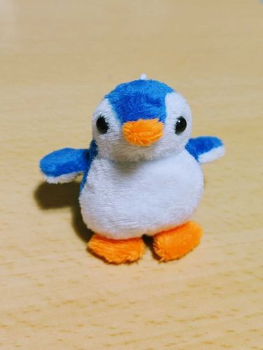 ガチャガチャコーナーで出会って数日。名前を付けてもらいました。ミーナです。

