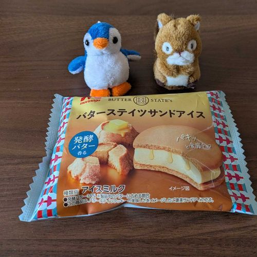 おいしそうなアイスを見付けて誘惑に負けて買ってしまったにーちさん
