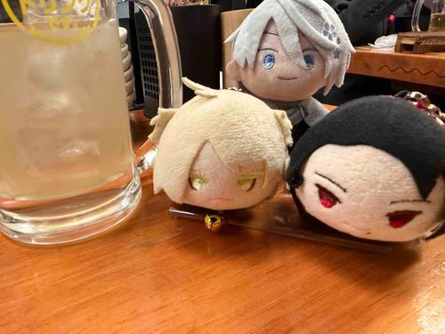先日、主の勤め先で慰労会があったにゃ！
鳥肉の店にゃっ！