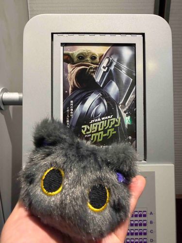 マンダロリアン・アンド・グローグーを見てきました🥰
グーちゃんかわいかったです😍