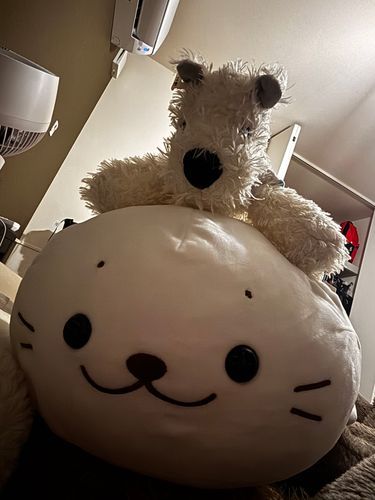 ぼくのおうちの、おともだち。
おうちのひとは、ぼくたちをかわいがってくれるんだ。