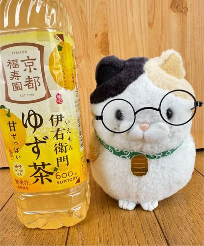 今日のおやつはコレ！
伊右衛門　ゆず茶♪
開けた瞬間にゆずの爽やかニャ香りがするニャ〜♪
美味しかったニャン♪