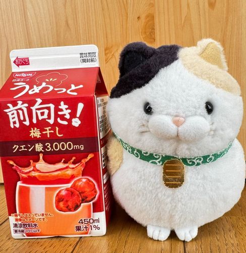 今日のおやつはコレ！
梅干しは入ってニャいけど
梅の酸っぱい味がするニャン♪
今日みたいに暑い日に最適な飲み物ニャ♪