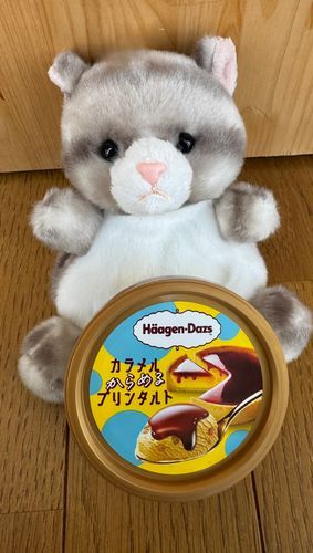 アメです！
今日のおやつはコレなのです！
ほろ苦カラメルソースとプリン風味の甘いアイスクリーム♪
美味しい組み合わせなのです♪
中にクッキーも入っていて
まさにカラメルプリンタルトなのです！
