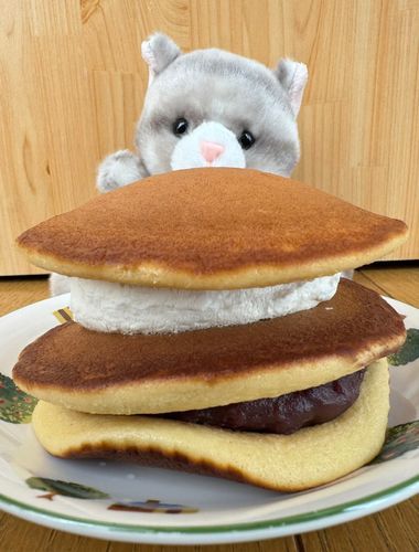 アメです！ココです！
ボクはココです！
今日のおやつはコレなのです！
ボクが隠れちゃうほどの巨大などら焼きです♪
生地がふわふわでペロリと食べちゃいました♪
