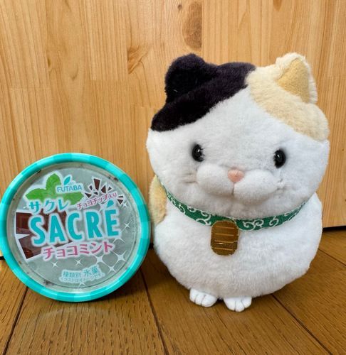 今日のおやつは
暑い日にピッタリのコレにゃ！
かき氷みたいで美味しいニャン♪